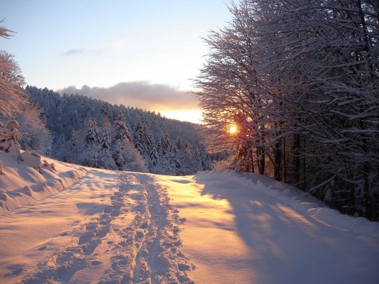 Paysage d'hiver - Chez Nico - Le Ménil