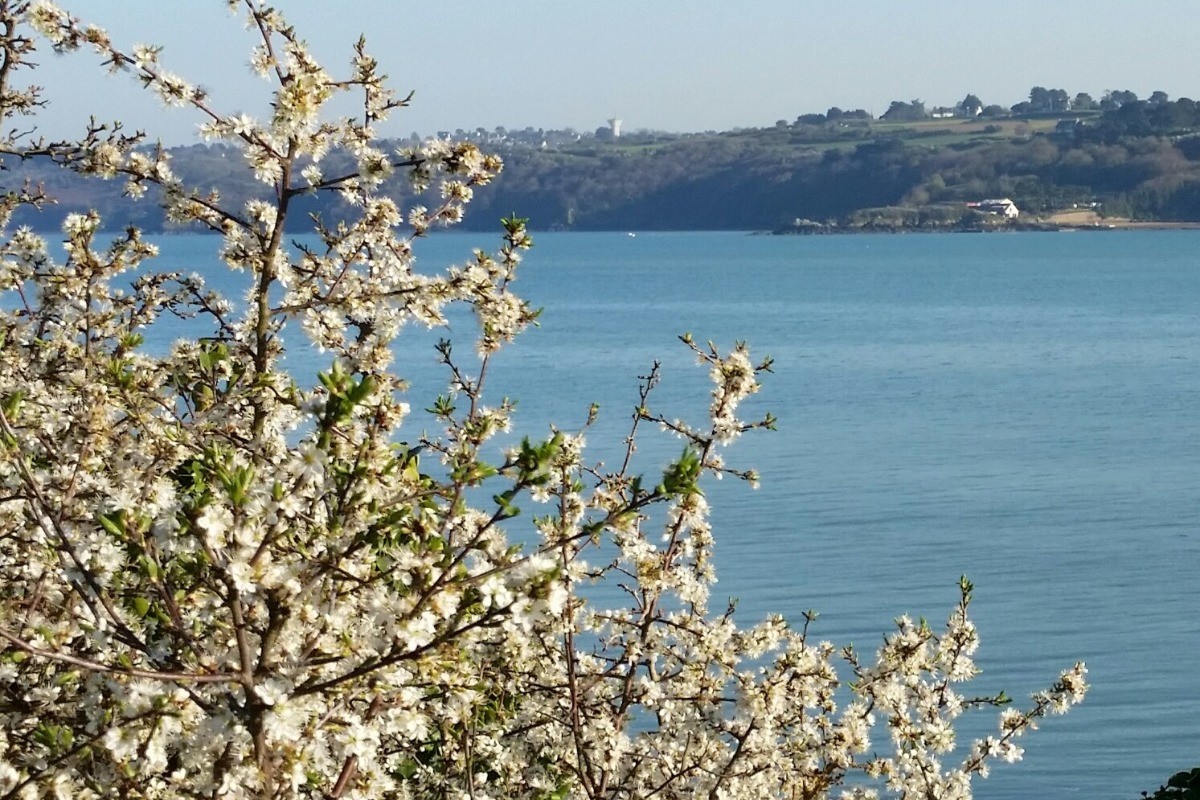 Location 2 personnes, Binic - Etables sur Mer, paysage