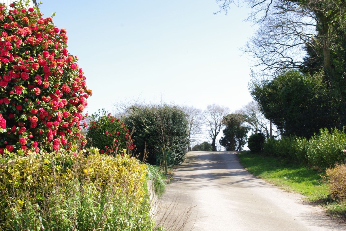 Accès au gîte
