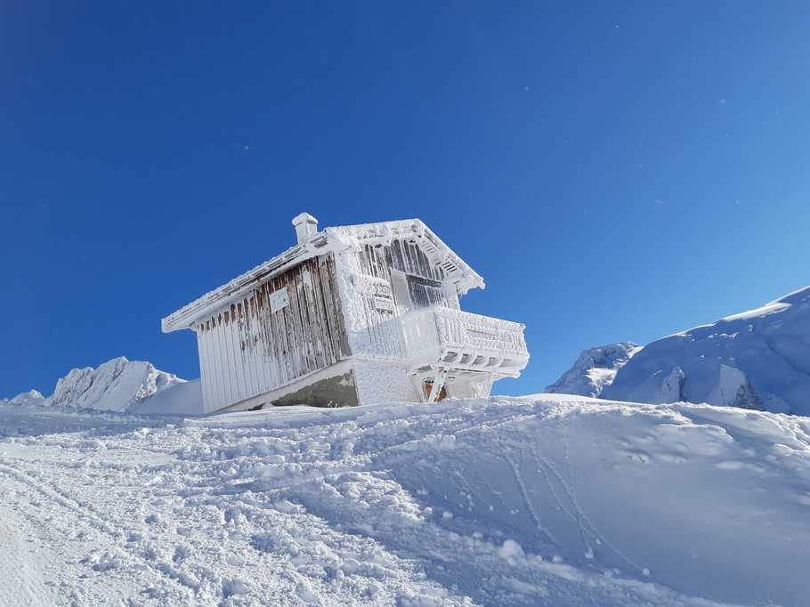 En haut de l'ancolie