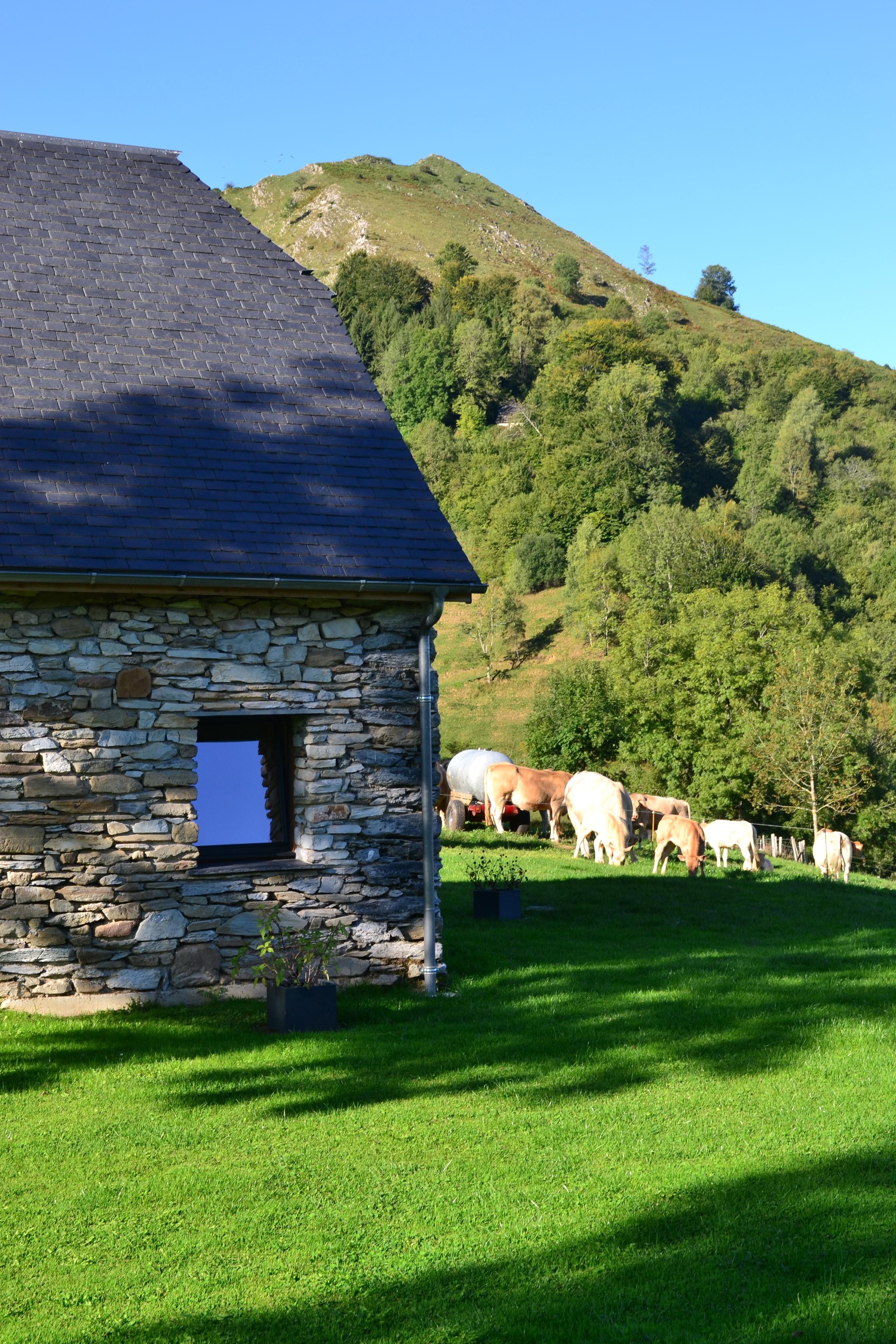 Photo n° 4 de la location