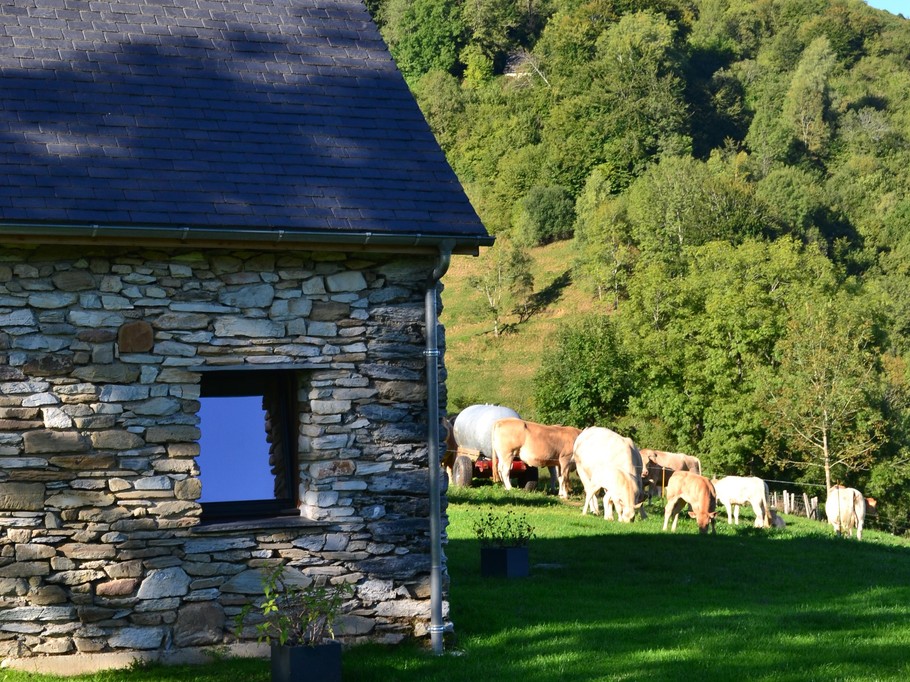 Photo n° 4 de la location