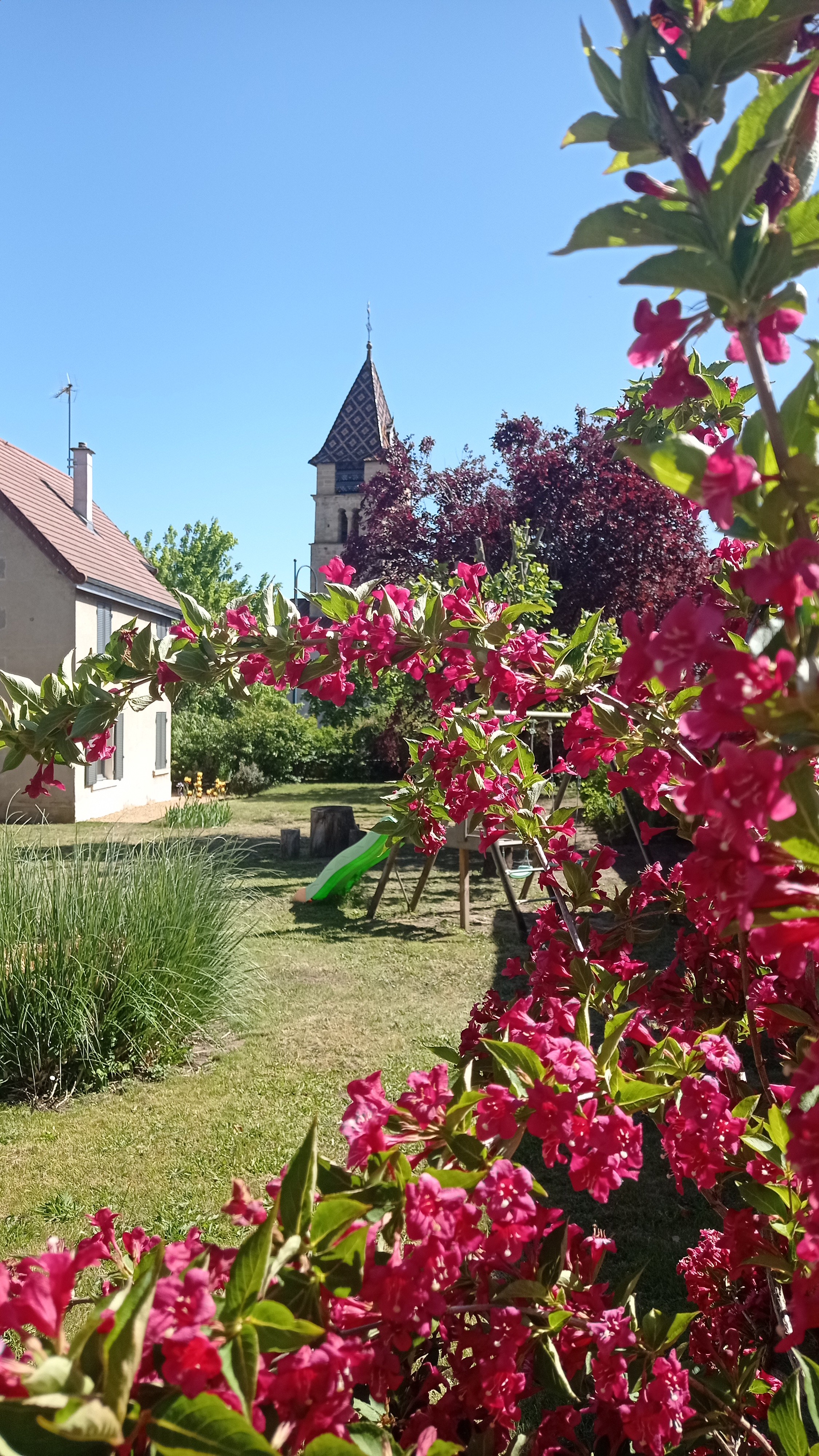 Jardin