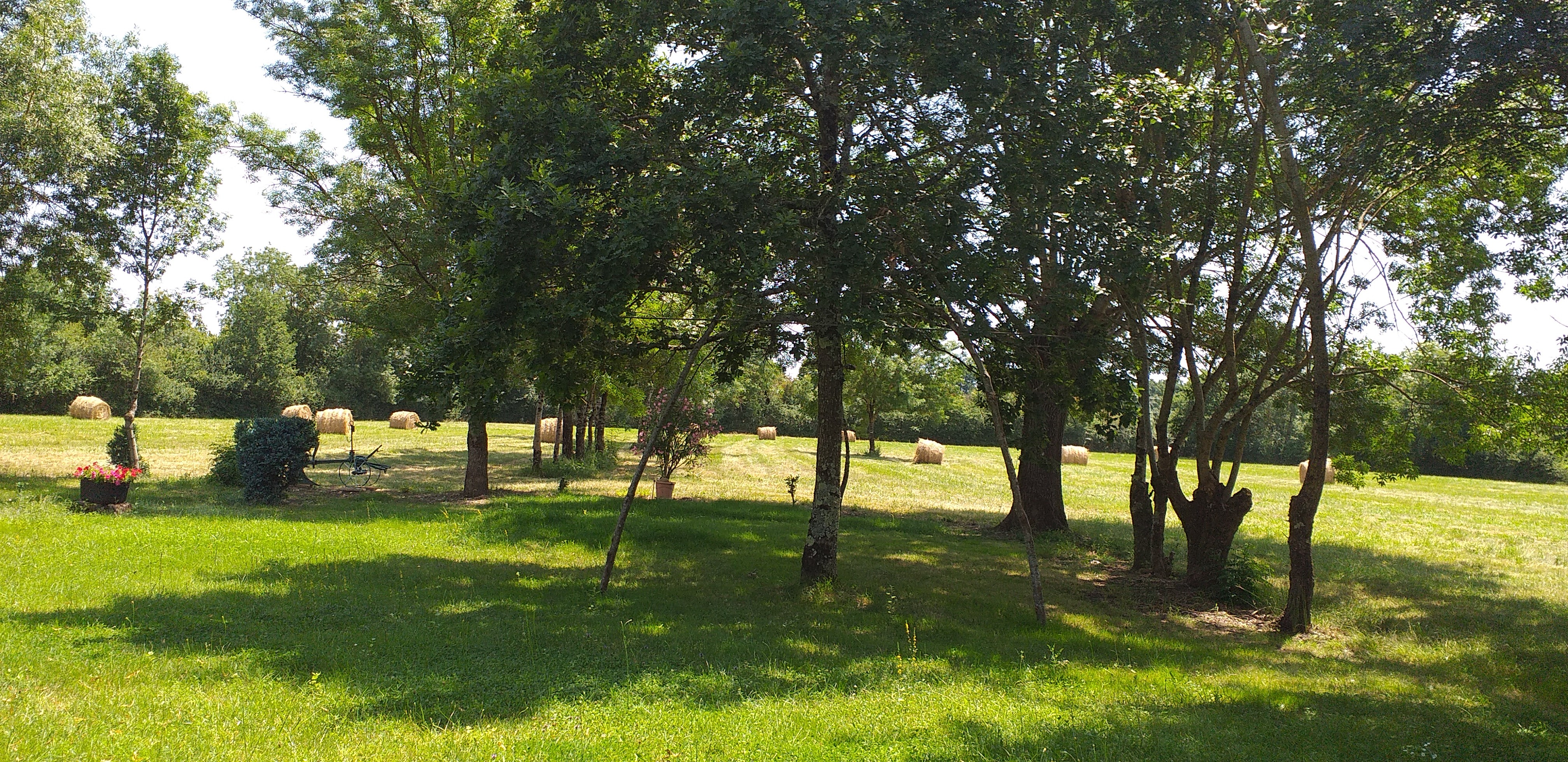 Parc devant le gîte