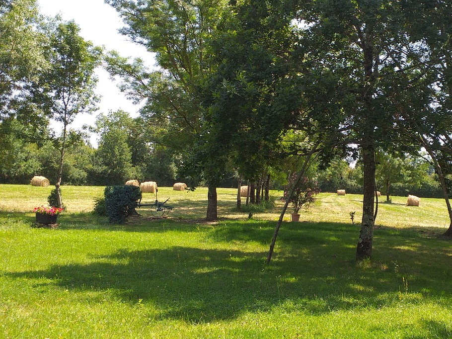 Parc devant le gîte