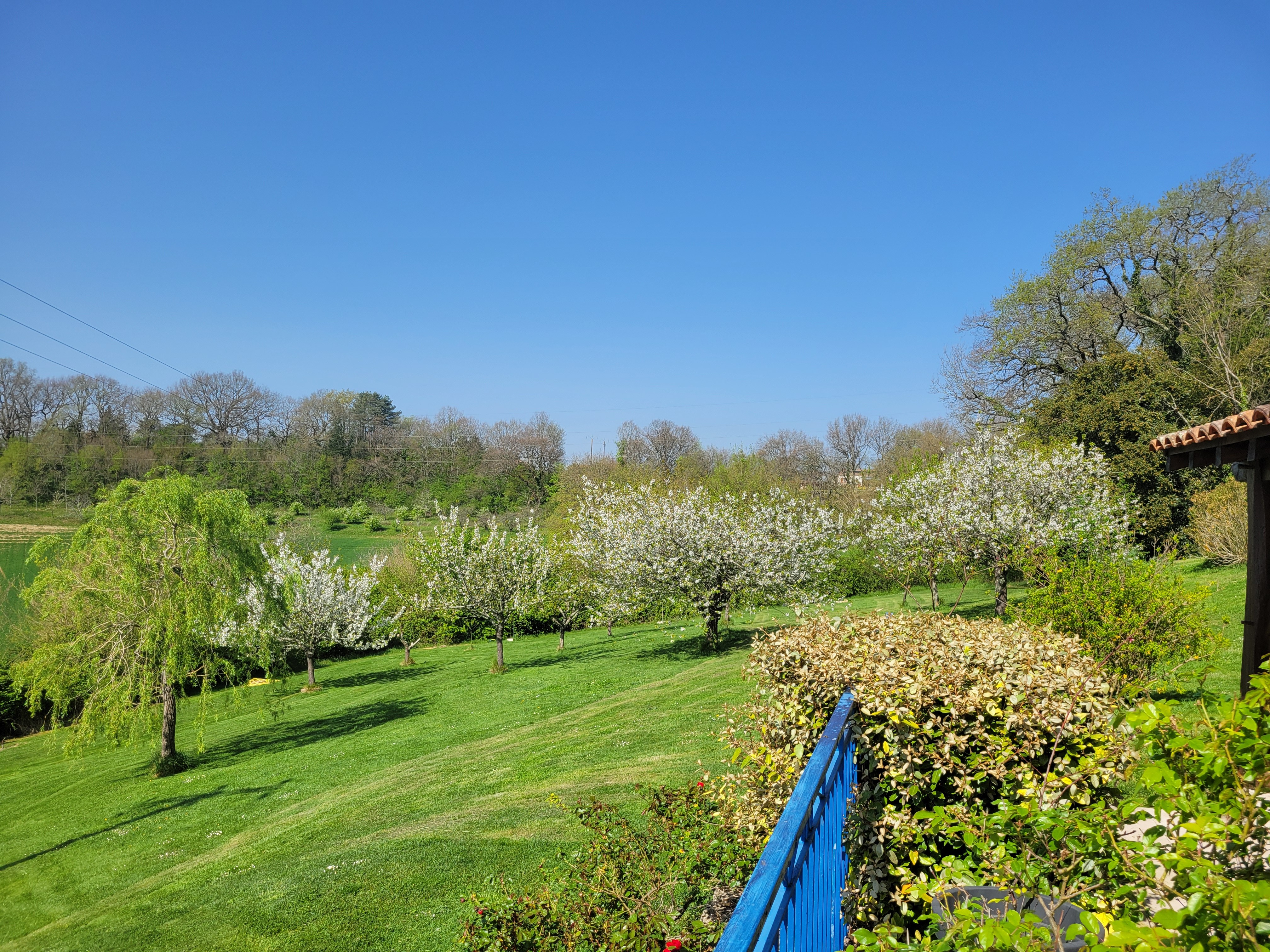 View from the south terrace