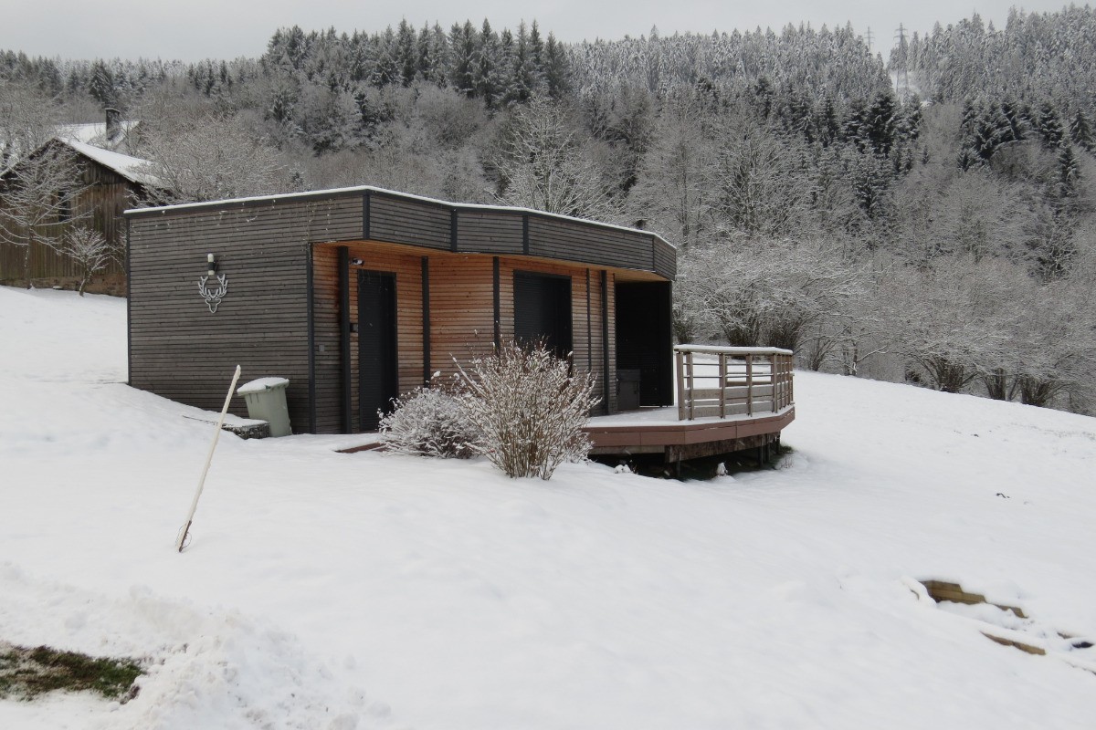 Hiver - Renard - Nature Cottage Vosges