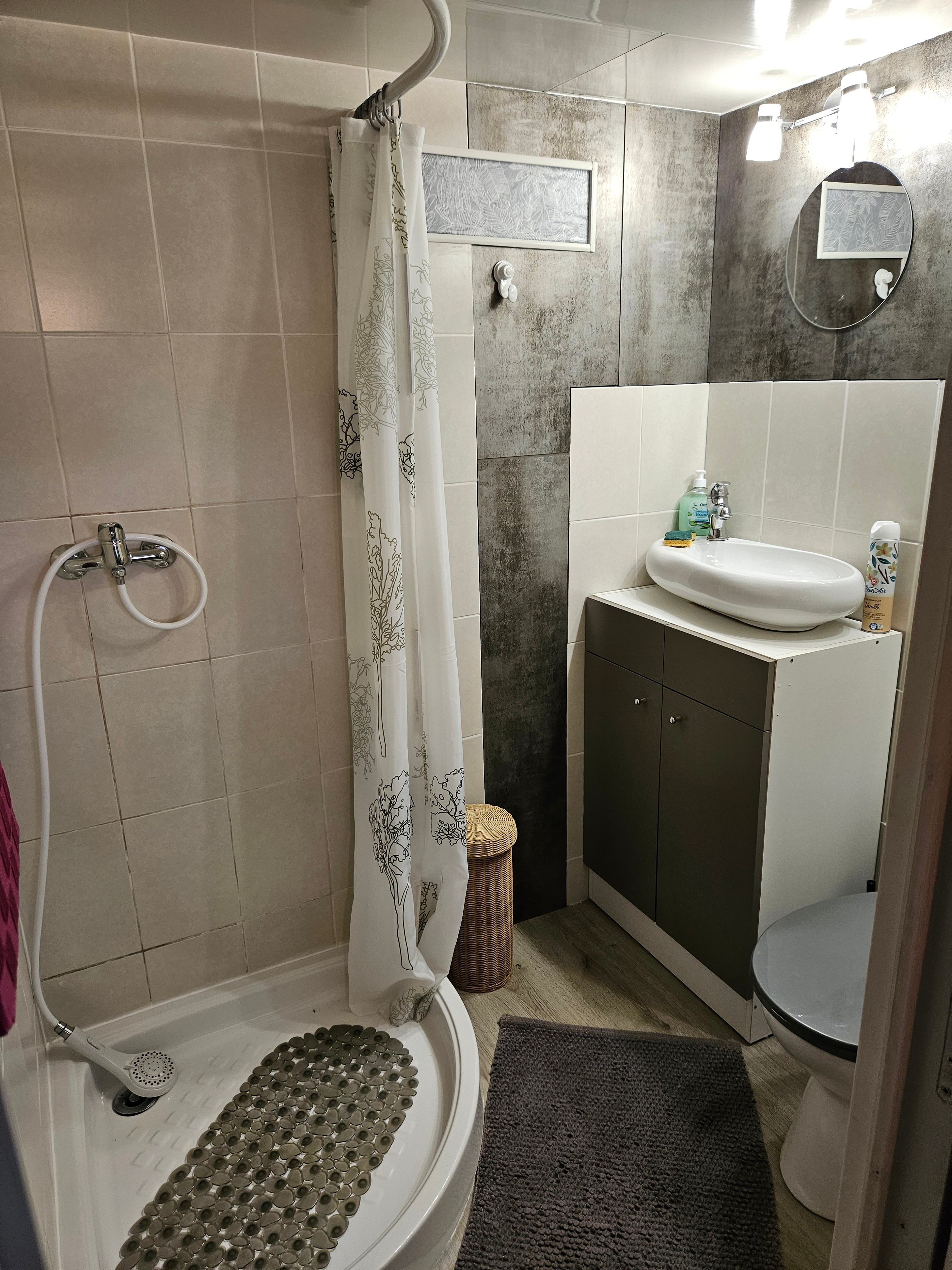 Shower room - Gite on the banks of the Canal de l'Est and the Meuse sauvage