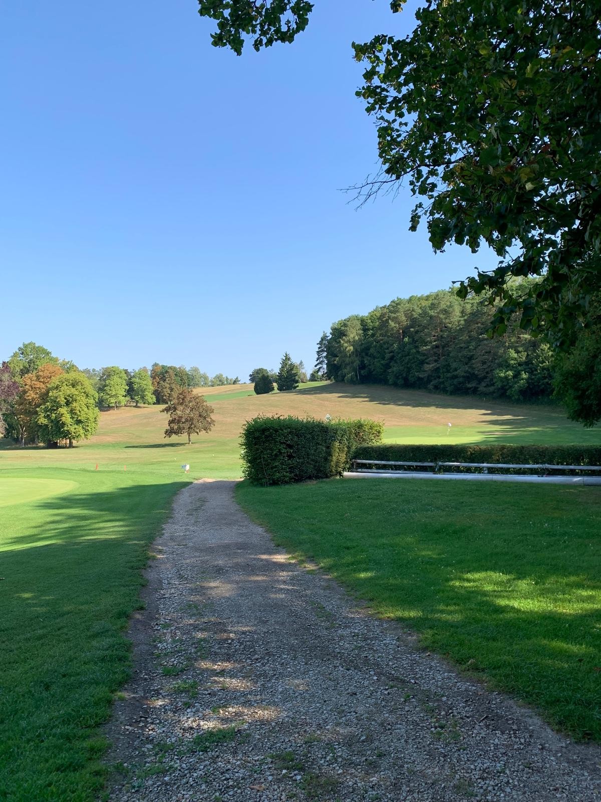 Terrain de golf et hippodrome  - Appartement le Charme, Vittel