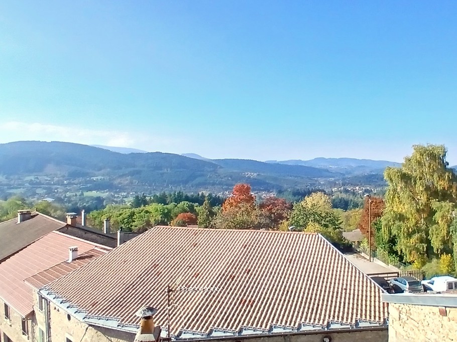 Chez Nelly - Gîte 2 personnes à Arconsat, Puy de Dôme, Auvergne : La vue