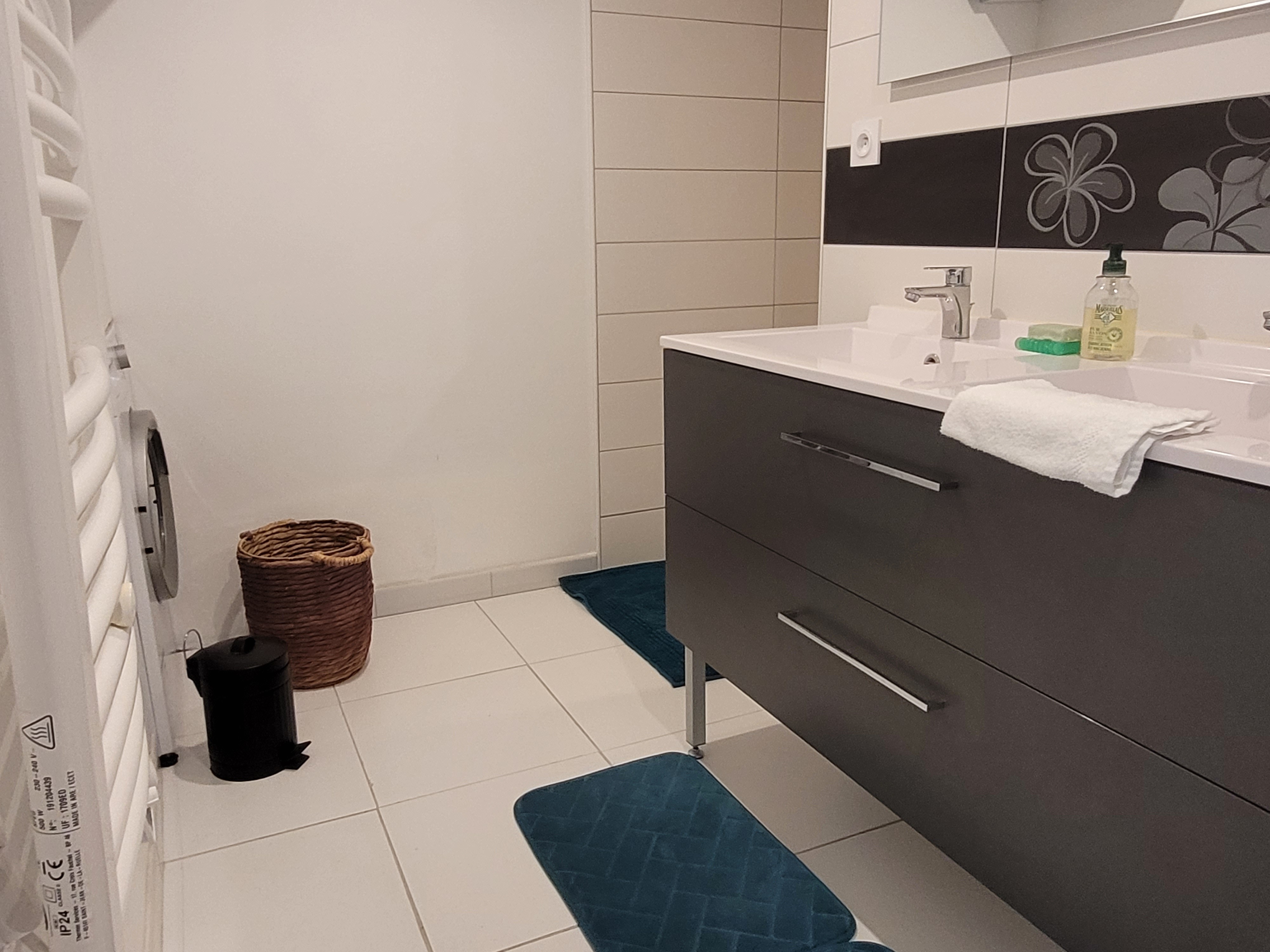 Ancre Violette, 2-people flat, ground floor, shower room with walk-in shower, washbasin and WC