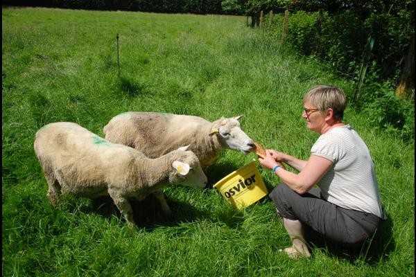 Photo n° 17 of the location