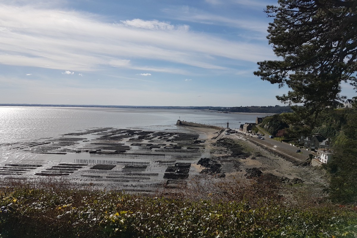 Le Port de la Houle vu depuis la Pointe du Hock à Cancale, à 3 minutes à pied de l'appartement La Cale.