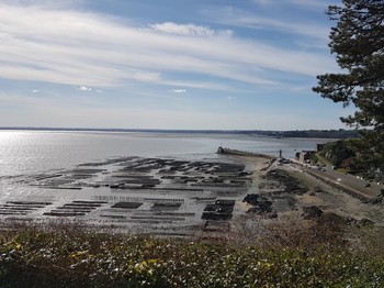 Le Port de la Houle vu depuis la Pointe du Hock à Cancale, à 3 minutes à pied de l'appartement La Cale.
