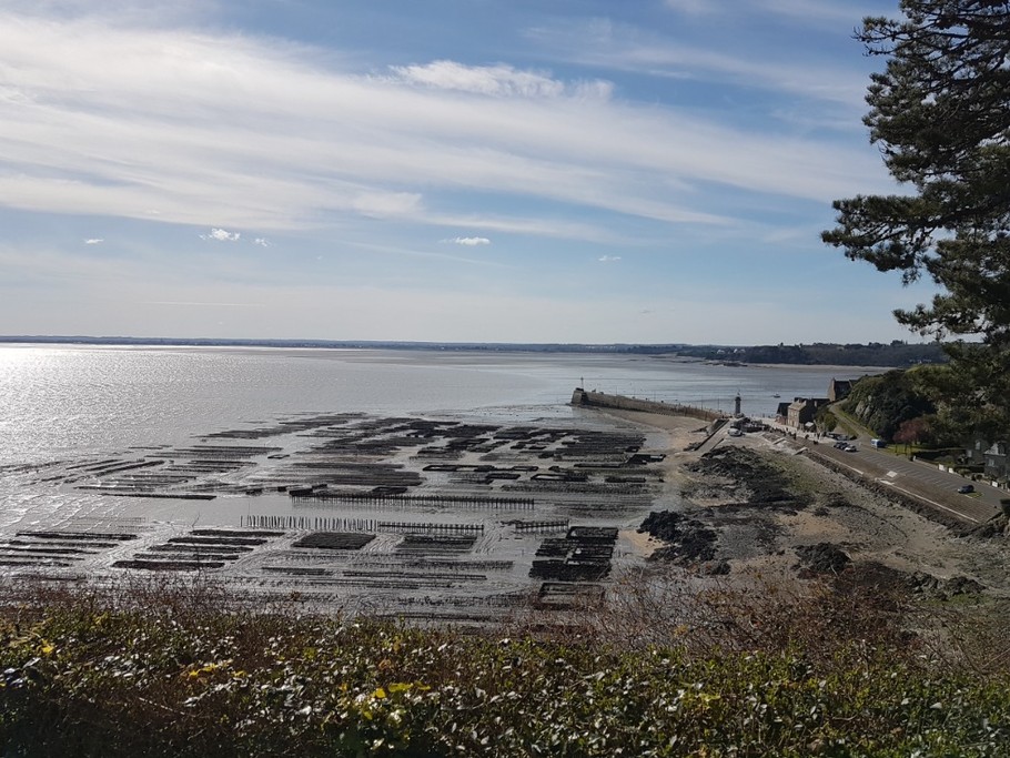Le Port de la Houle vu depuis la Pointe du Hock à Cancale, à 3 minutes à pied de l'appartement La Cale.