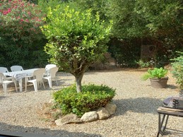 le jardin vu de la cuisine