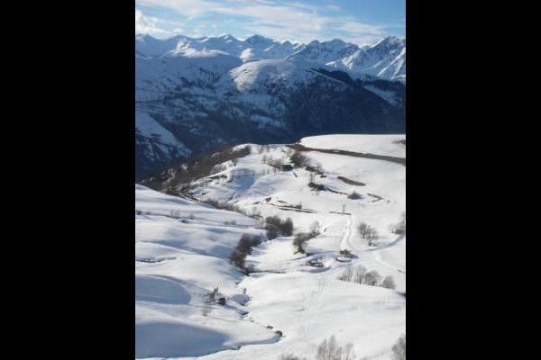 Ski de fond, de piste, chien de traineau, à 40 / 60 min