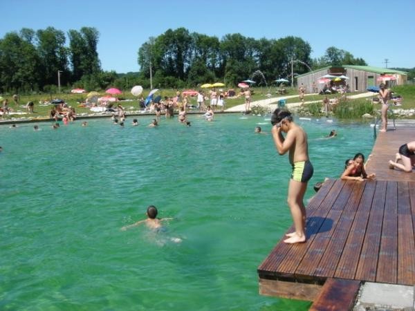 les ocybelles piscine naturelle sans aucun produits !