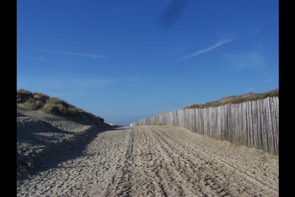 And the sky is often blue!