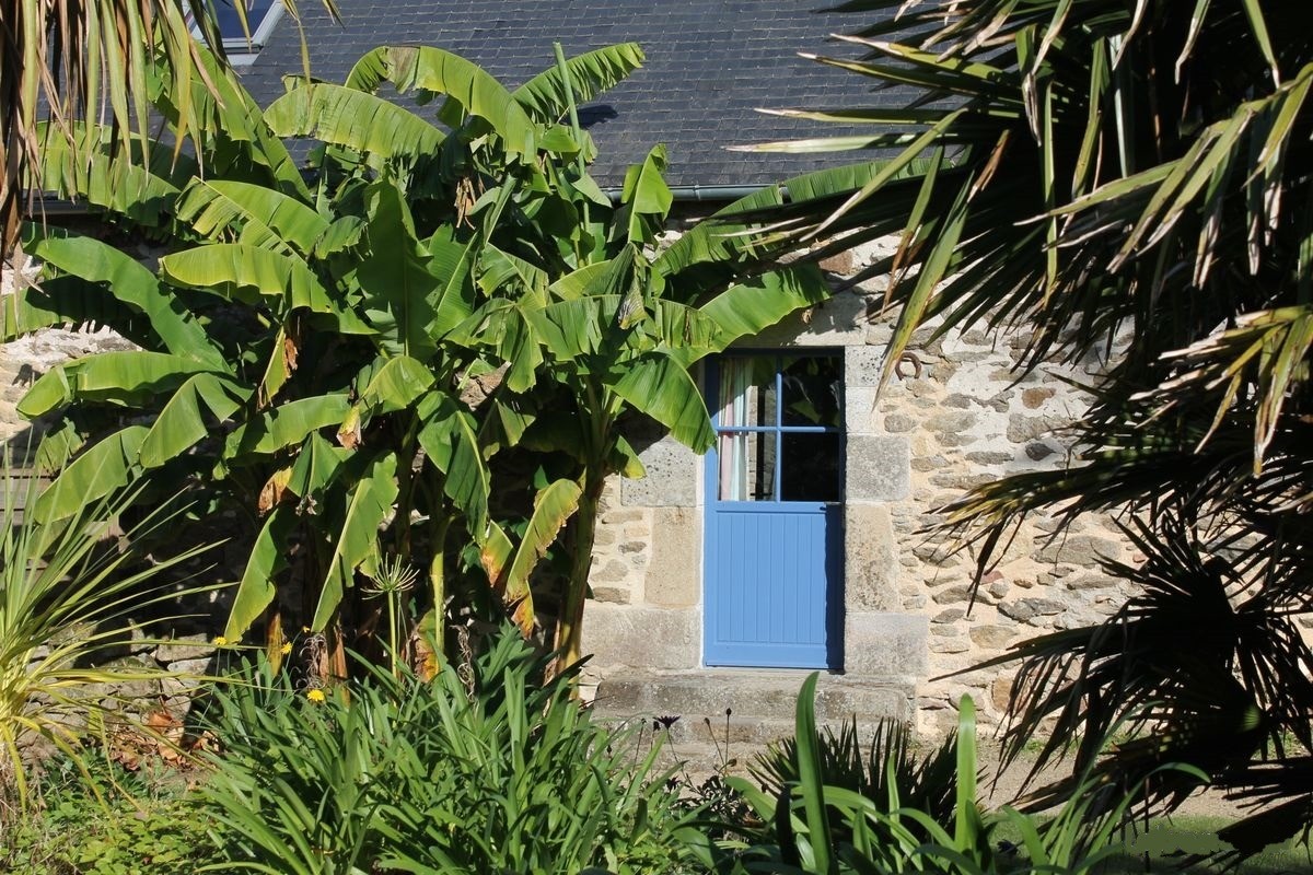 jardin privatif paysagé et ombragé  à l'arrière de  la maison
