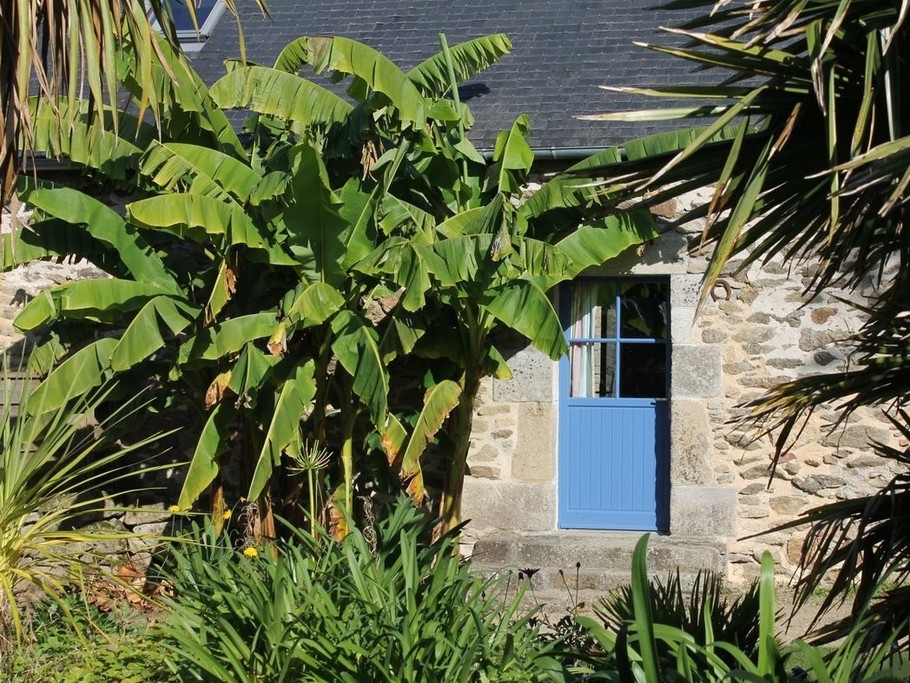 jardin privatif paysagé et ombragé à l'arrière de la maison