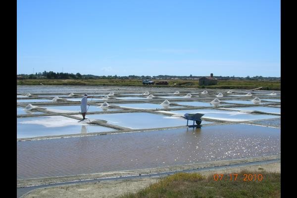 Les marais salants