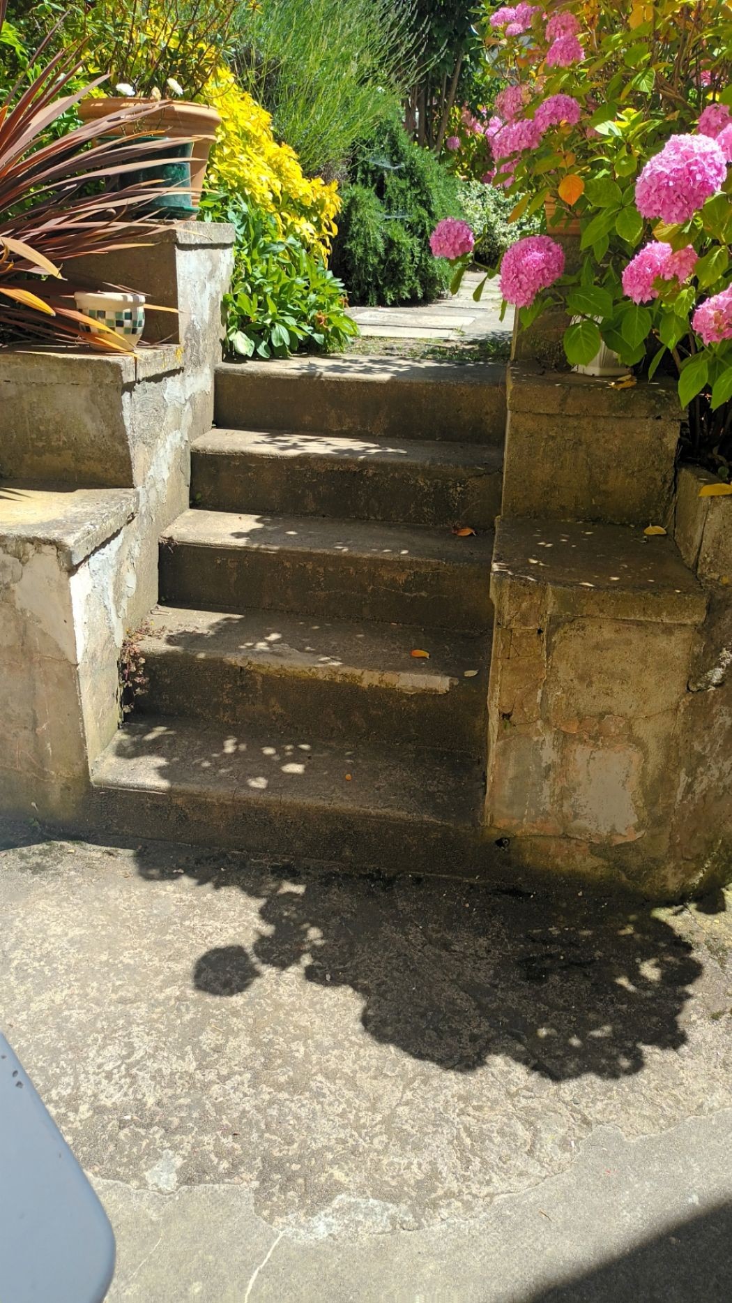 L'Inattendue jardin interieur