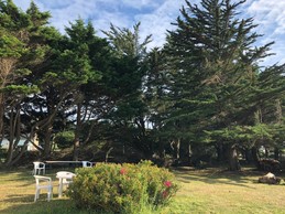 Le jardin devant la maison