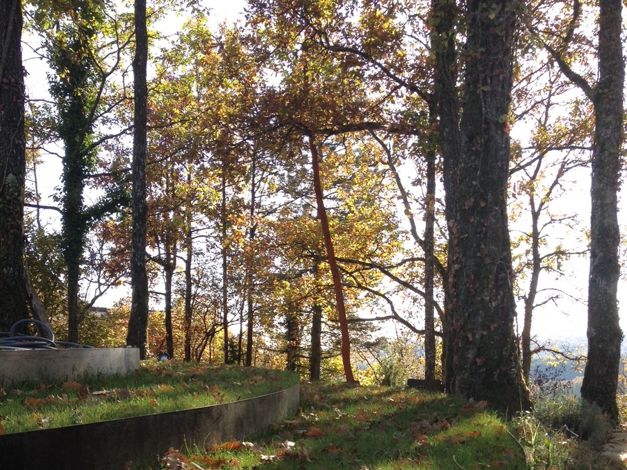 Photo n° 6 of the location