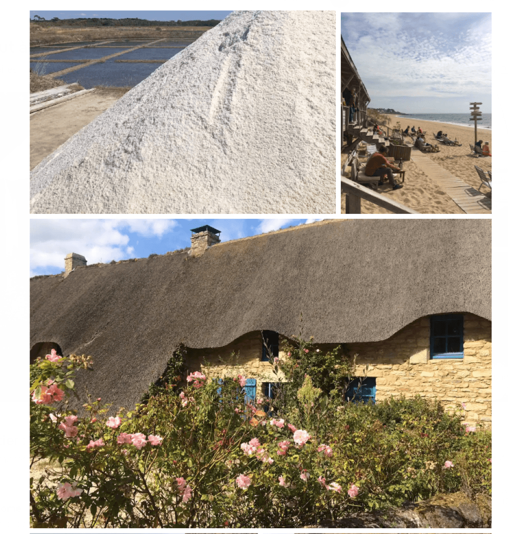 Marais salant  / St Lyphard