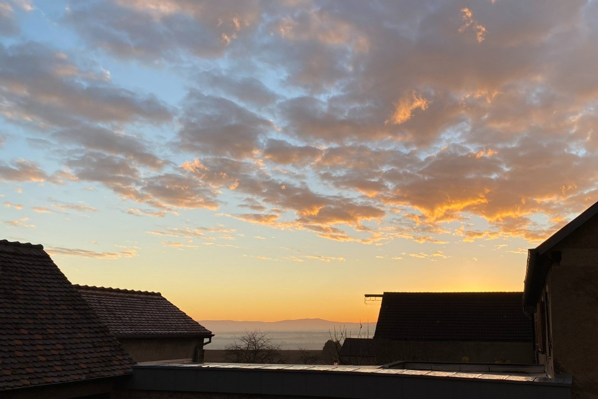 Vue sur la Forêt Noire