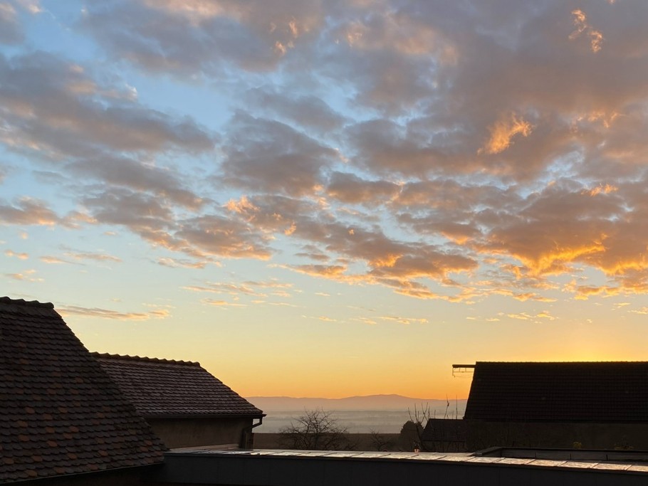 Vue sur la Forêt Noire