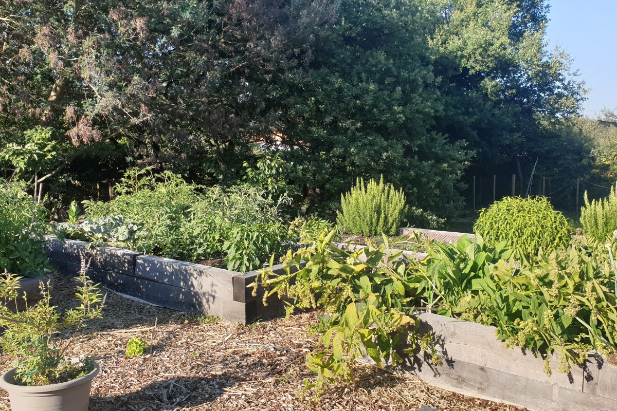 Le potager