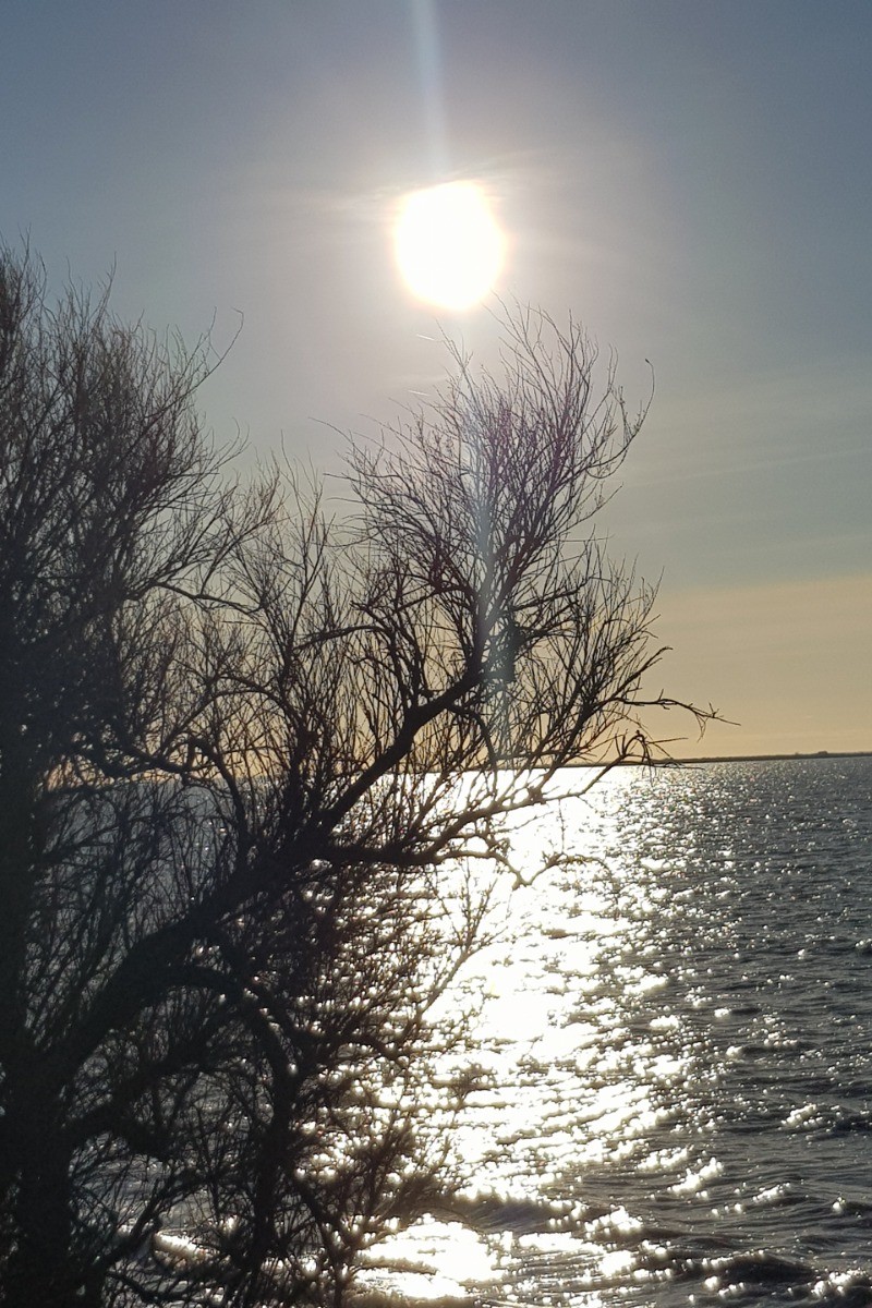 Photo n° 19 of the location