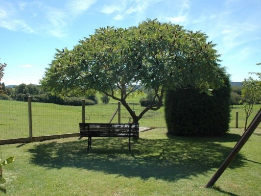 La Betoulle Gîte grande capacité en Creuse au cœur du Limousin. Maison 6 chambres pouvant accueillir jusqu'à 15 personnes