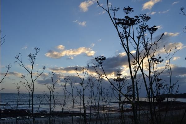 Photo n° 18 de la location