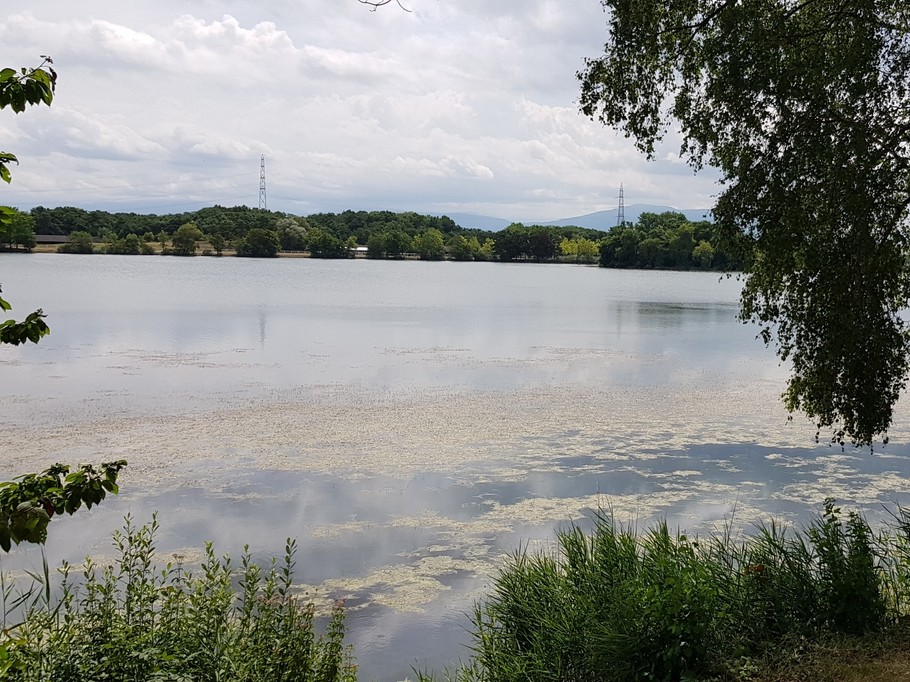 Lac de Divonne-les-Bains