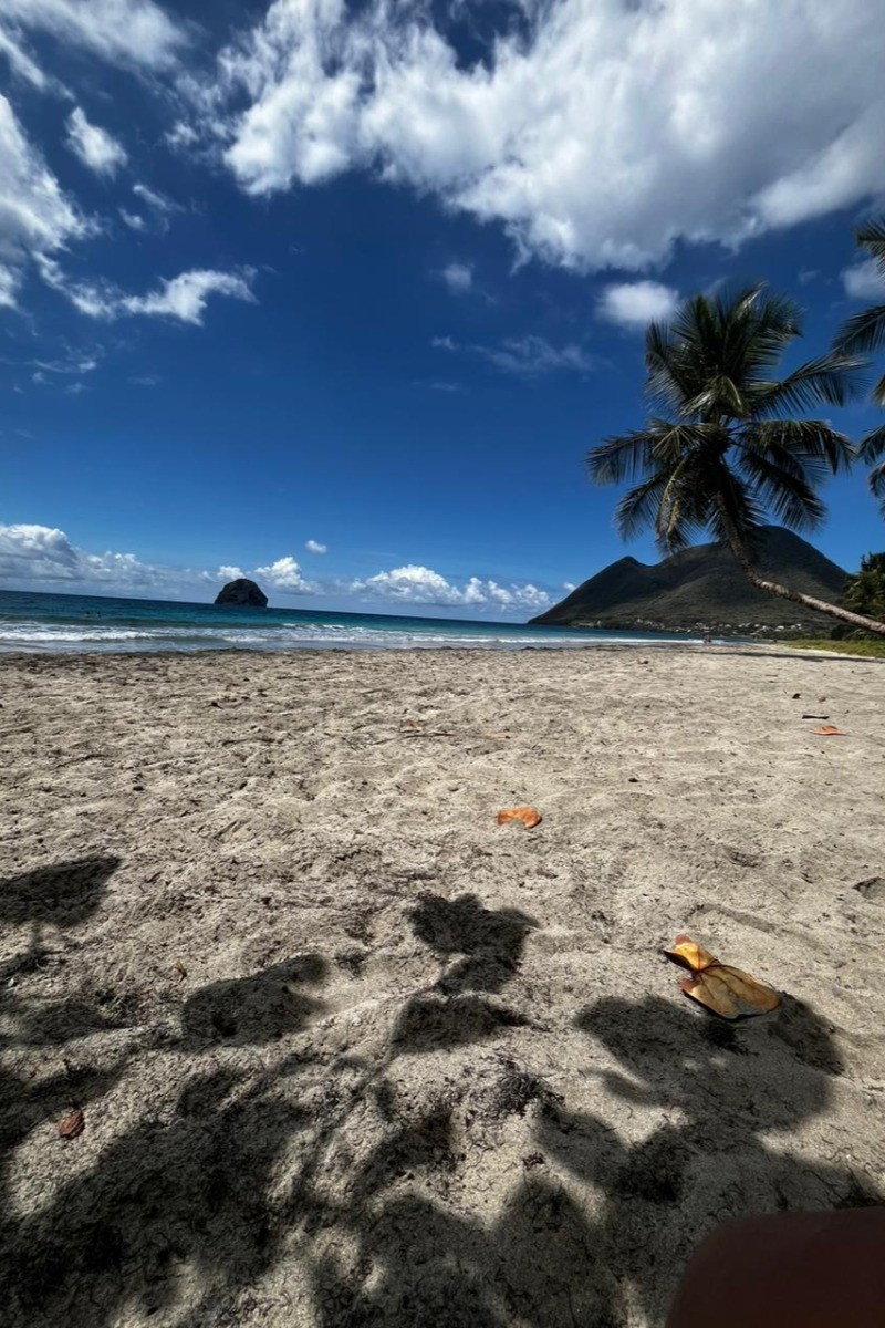Plage du Diamant (25 minutes à pied et 10 minutes en voiture au départ de l'hébergement