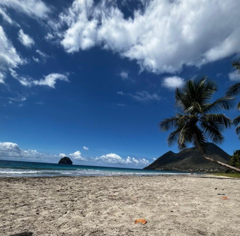 Plage du Diamant (25 minutes à pied et 10 minutes en voiture au départ de l'hébergement