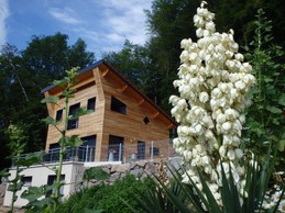 Image n° 2 de la location