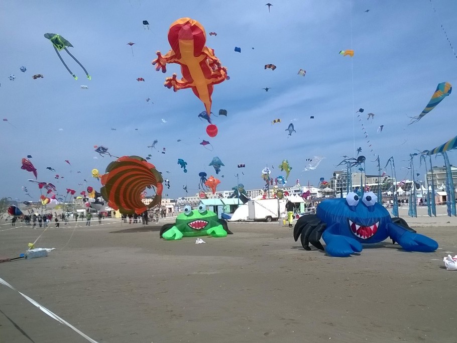 Festival Cerfs-Volants tous les ans en Avril