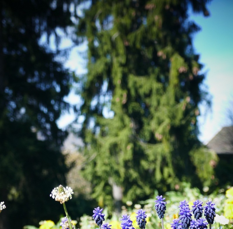 Photo n° 19 de la location