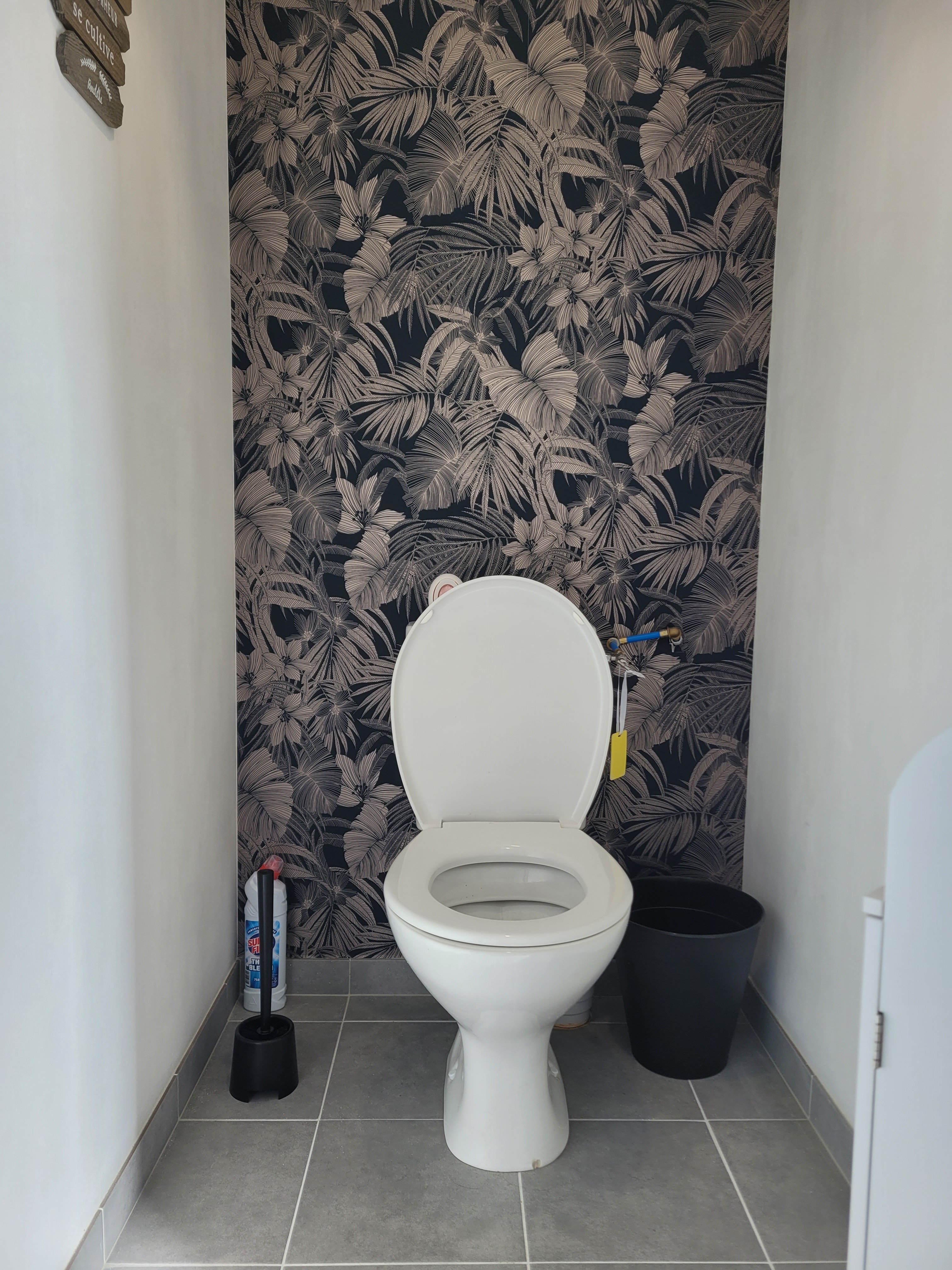 Location Ty Kermaudez, Clévacances, Paimpol, WC indépendant RDC