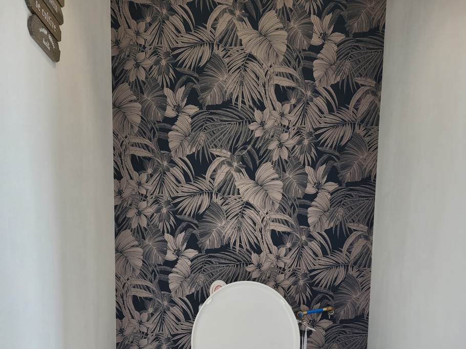 Location Ty Kermaudez, Clévacances, Paimpol, WC indépendant RDC