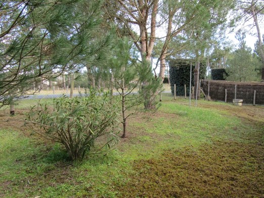 Image n° 1 de la location