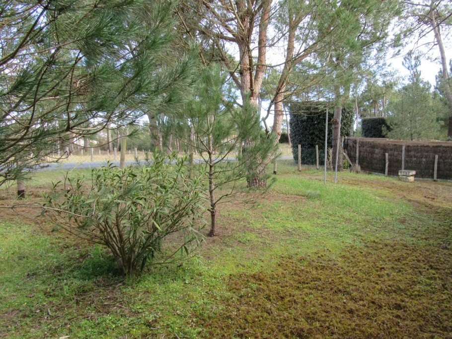 Photo n° 1 de la location