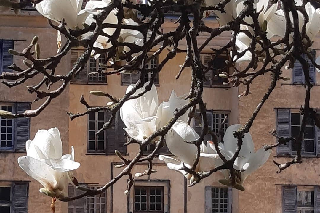 Photo n° 15 of the location