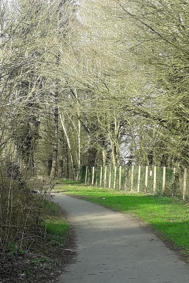 Chemin de rando autour du gite