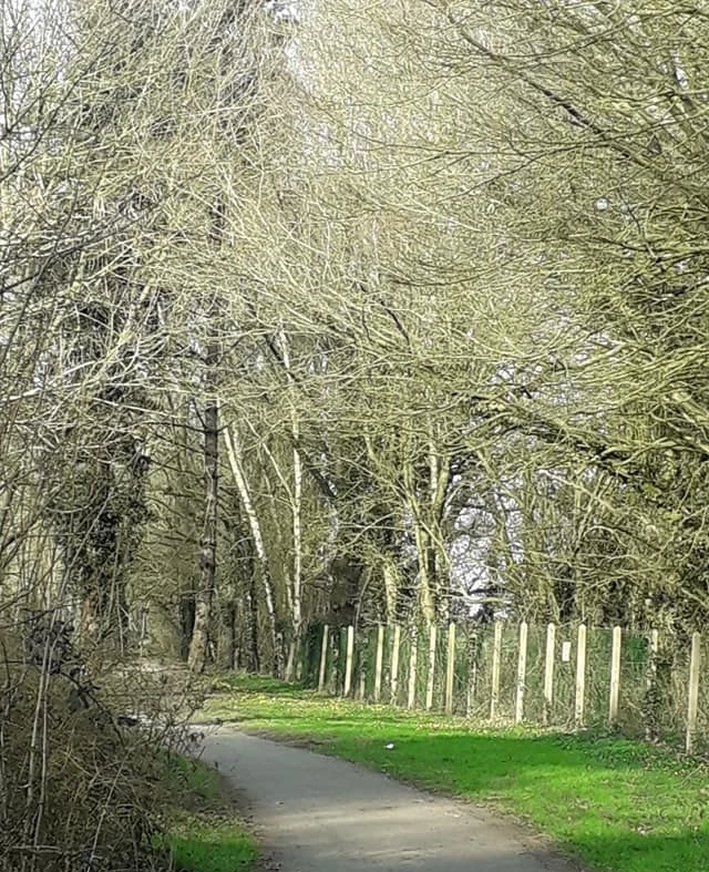 Chemin de rando autour du gite
