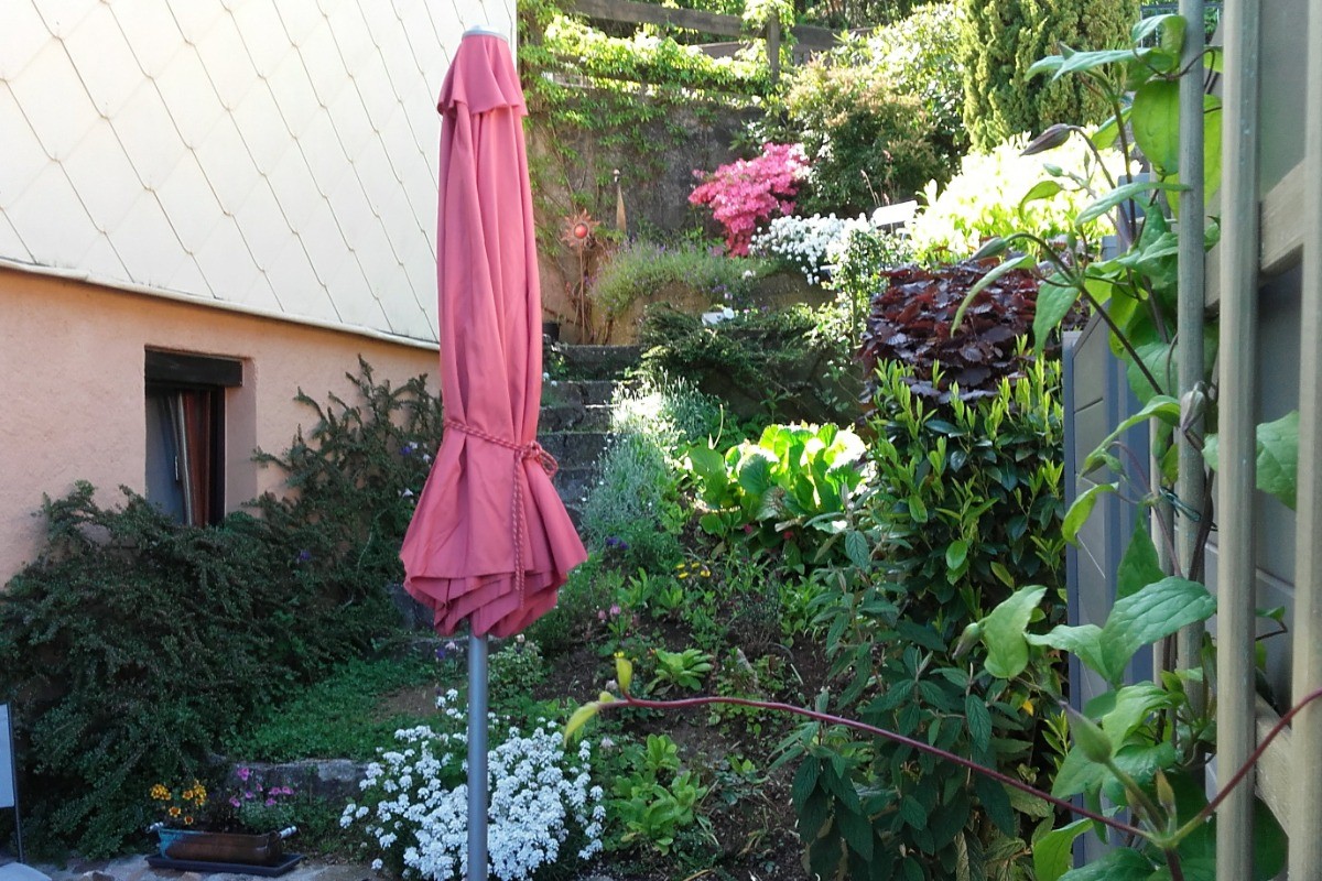 Photo n° 11 of the location